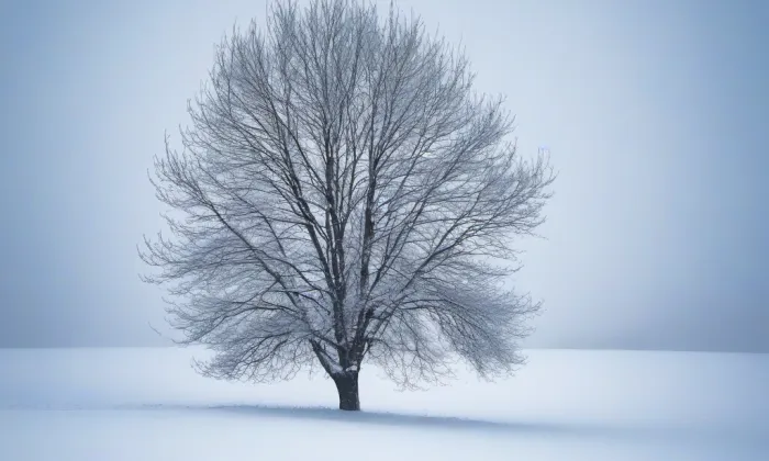 zámek Přibyslav – winter