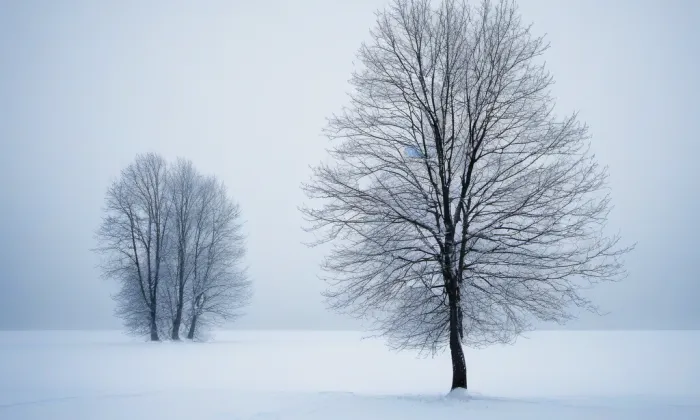 zámek Pavlovice u Přerova – winter