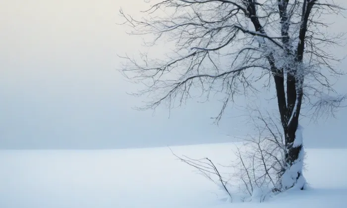 zámek Petrkov – winter
