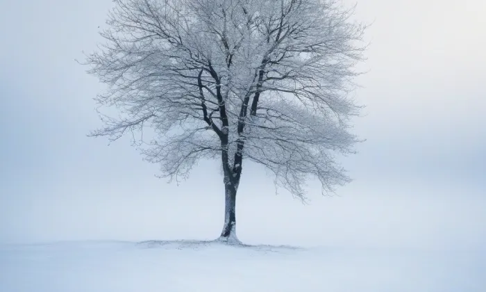 zámek Poláky – winter