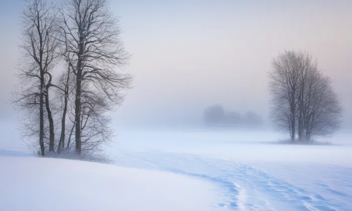 Zámek Polanka nad Odrou – winter