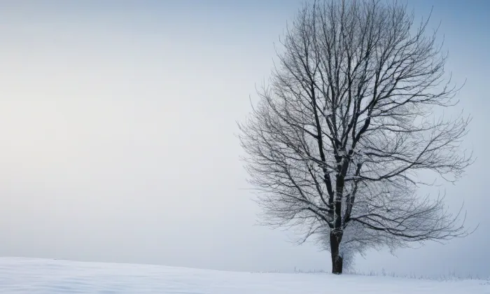 zámek Pravonín – winter