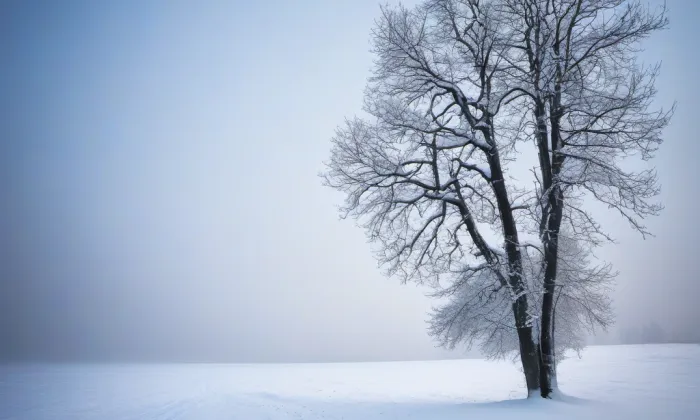 zámek Proseč u Pošné – winter