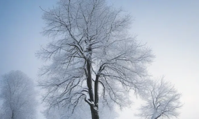 Zámek Protivín – winter