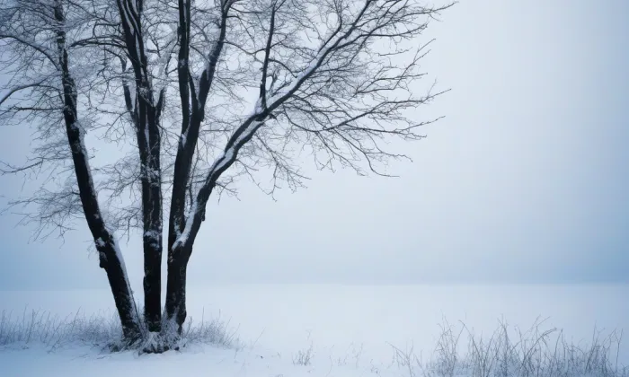 zámek Rtišovice – winter