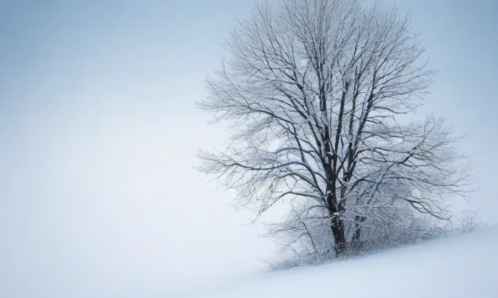 zámek Rumburk – winter