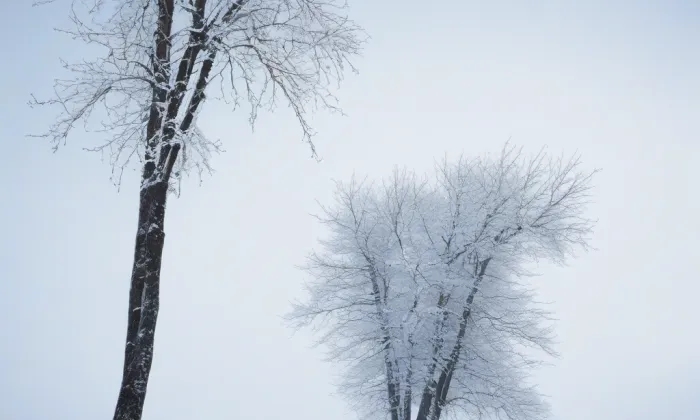 Zámek Slapy – winter