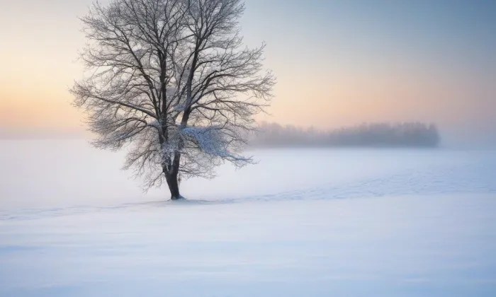 zámek Smiřice – winter