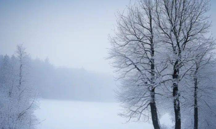 Zámek Stará Ves nad Ondřejnicí – winter