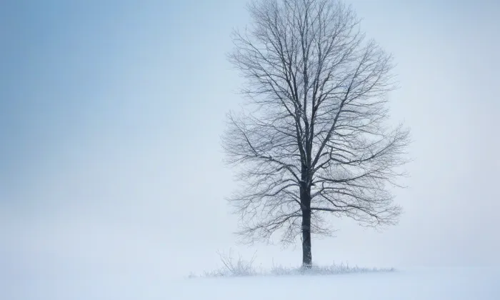 Zámek Struhaře – winter