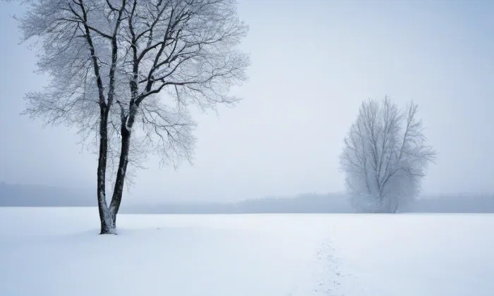 zámek Svijany – winter