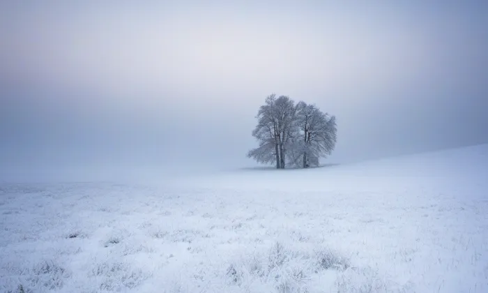 zámek Svojkov – winter