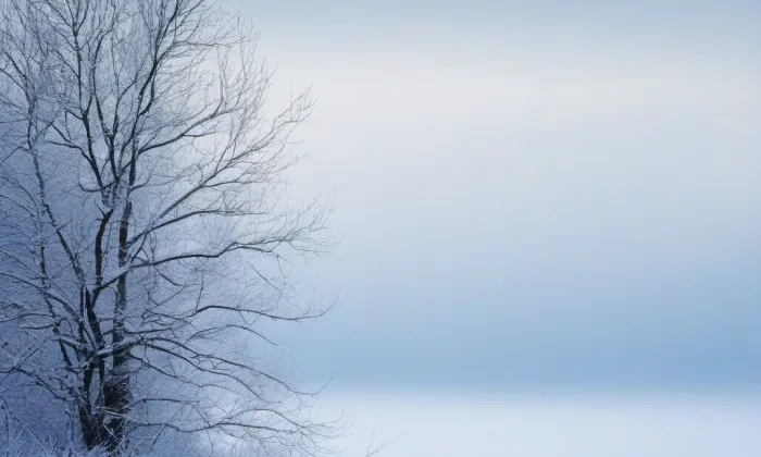 Zámek Těchobuz – winter