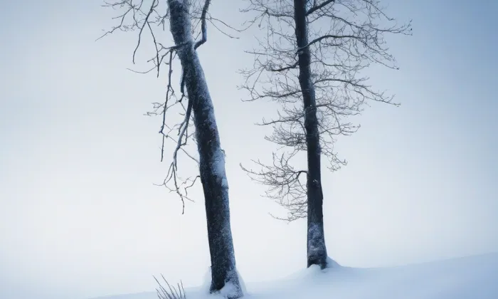 Zámek Týn nad Vltavou – winter