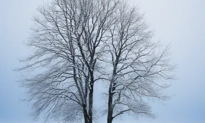 Zámek Tetín – winter