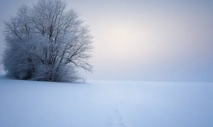 zámek Tupadly – winter