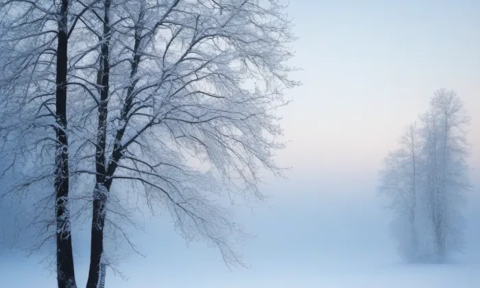 zámek Tvoršovice – winter