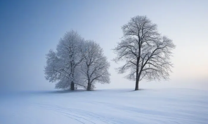 zámek Vážany nad Litavou – winter