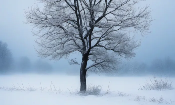zámek Valdov – winter