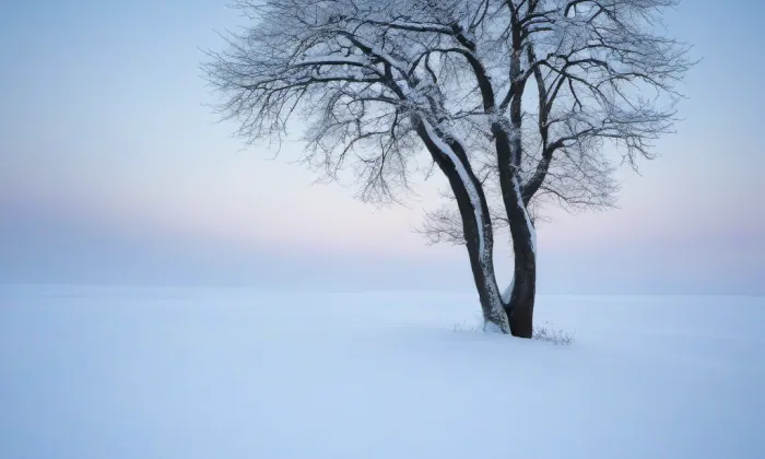 Zámek Varvažov – winter