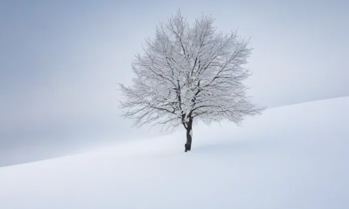 zámek Velemyšleves – winter