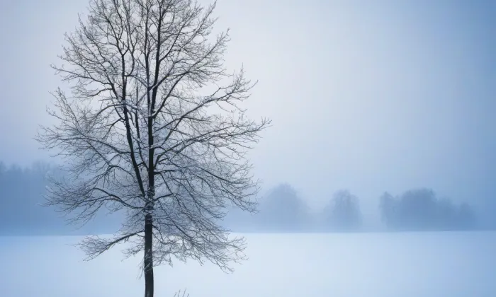 Zámek Velký Týnec – winter