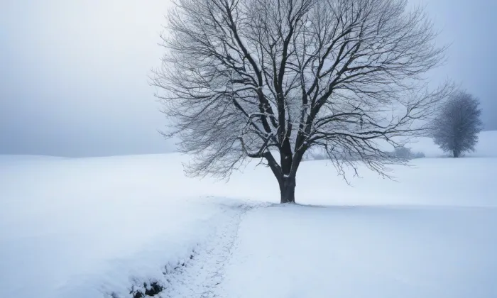 zámek Velký Valtinov – winter