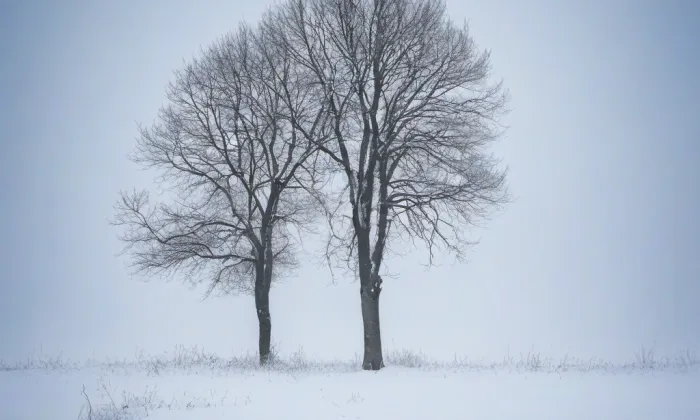 zámek Veltrusy – winter