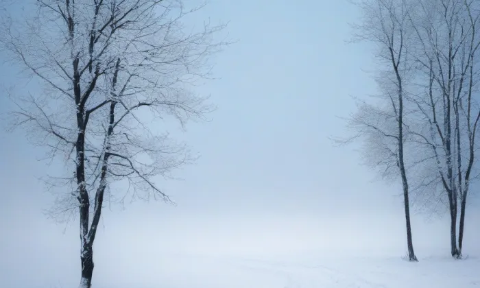 zámek Veselí – winter