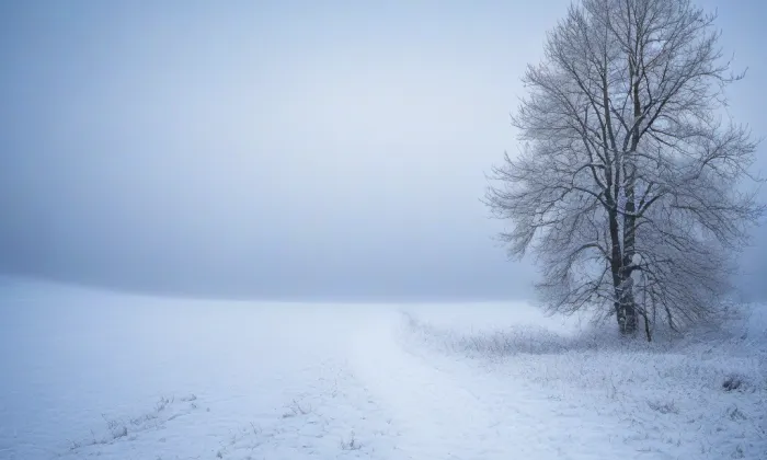 zámek Vohančice – winter