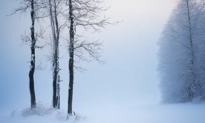 zámek Vyklantice – winter