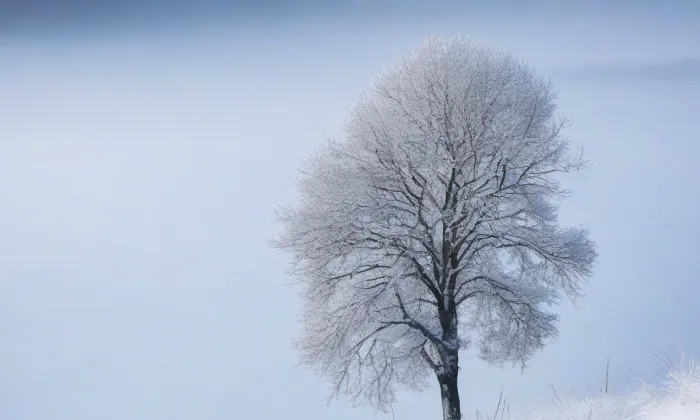 zámek Vysoká u Příbramě – winter