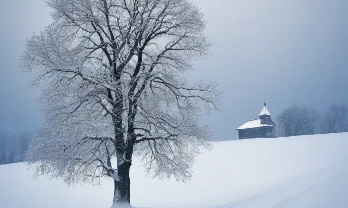 Zámek Zahrádky – winter