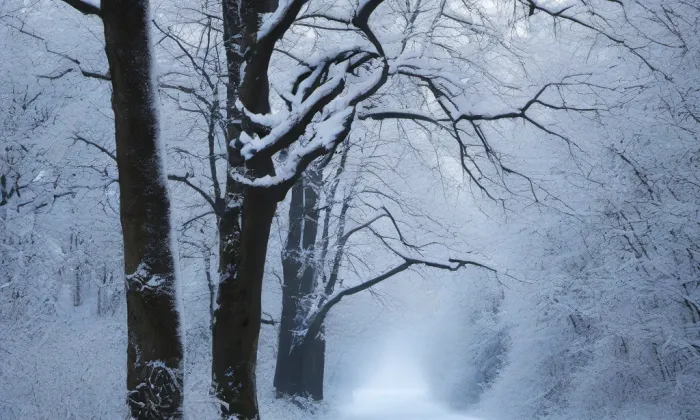 zámek Zahradiště – winter