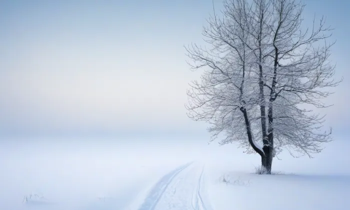 zámek Zlonice – winter
