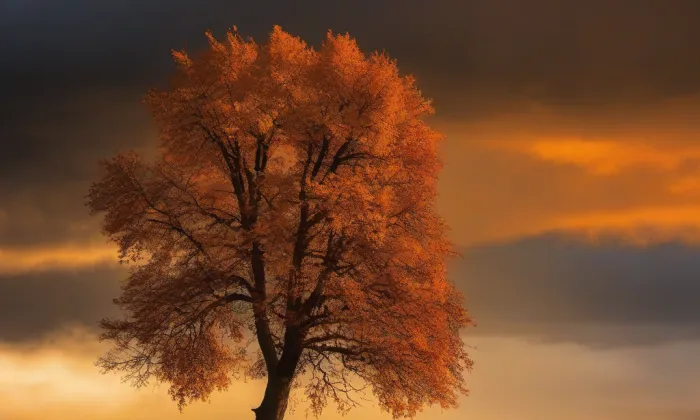 Zahrádka – autumn