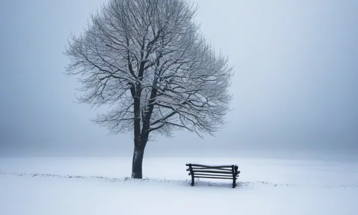 Zahrádka – winter