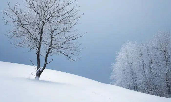 Zahradní pavilon Zapova 20 – winter