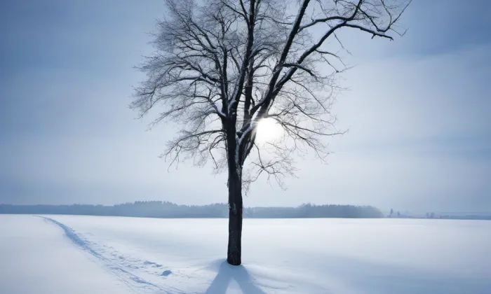 Zbořený Kostelec – winter