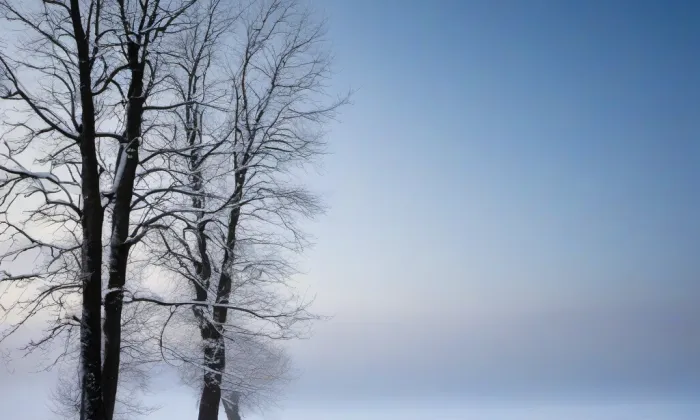 Zemědělská usedlost č. p. 3 v Krníně – winter