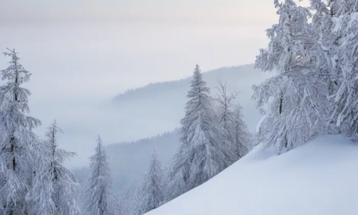 Zvěstov – winter