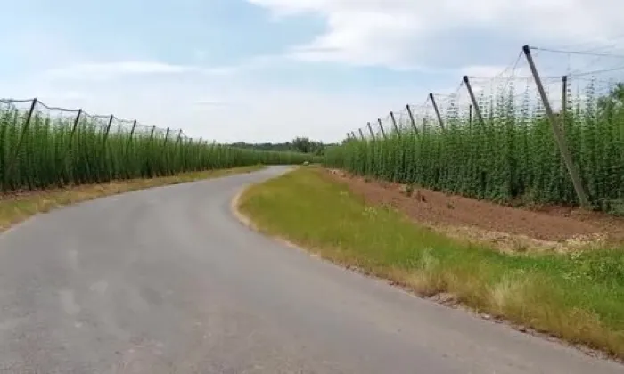 Žatec a krajina žateckého chmele