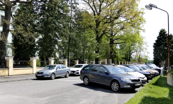Arboretum (Václavské Předměstí)