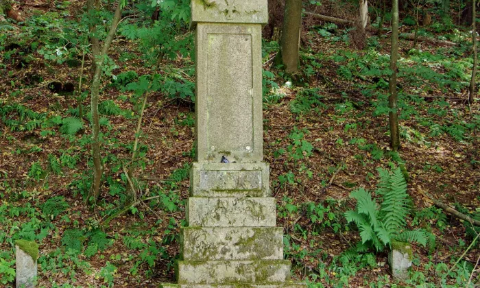 Boršegrýn
