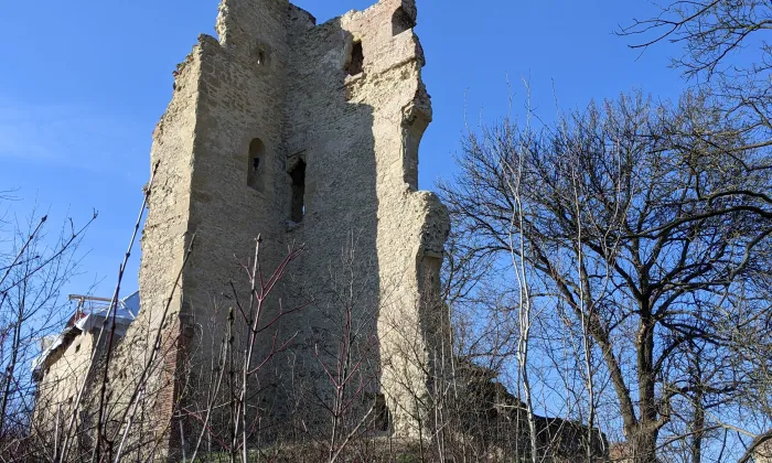Dražice