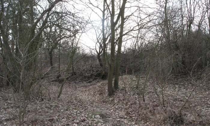 Dänemark