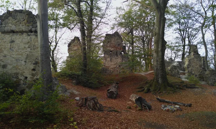 Děvín