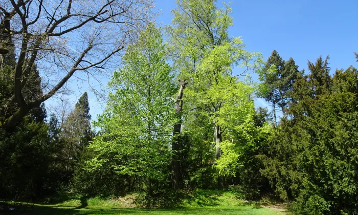 Arboretum Bílá Lhota