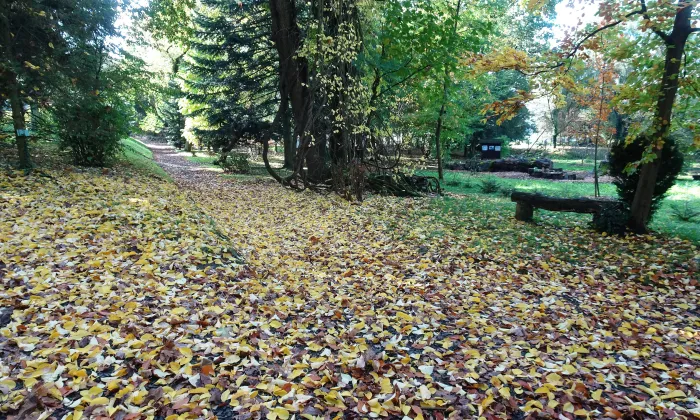 Arboretum Střední lesnické školy v Hranicích
