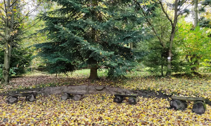 Arboretum Střední lesnické školy v Hranicích